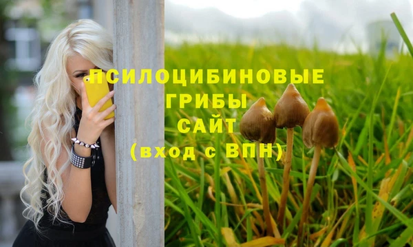 мескалин Арсеньев